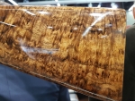 2018 IWA Browning